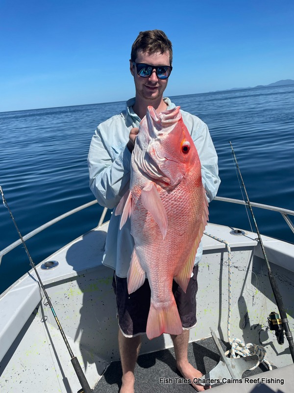 fish_tales's tweet photo. Thursday 31st March 2022
Congratulations to Sam and Scott with their pair of reds!
#largemouthnannygai #reeffishingcairns #greatbarrierreef #theFNQway #fishtalescairns #fishtalescairns #saddletailsnapper #reeffishing #wetseasonfishing #baitfishing #bottombouncing #explorefnq💜 https://t.co/Rb9nPdhapd