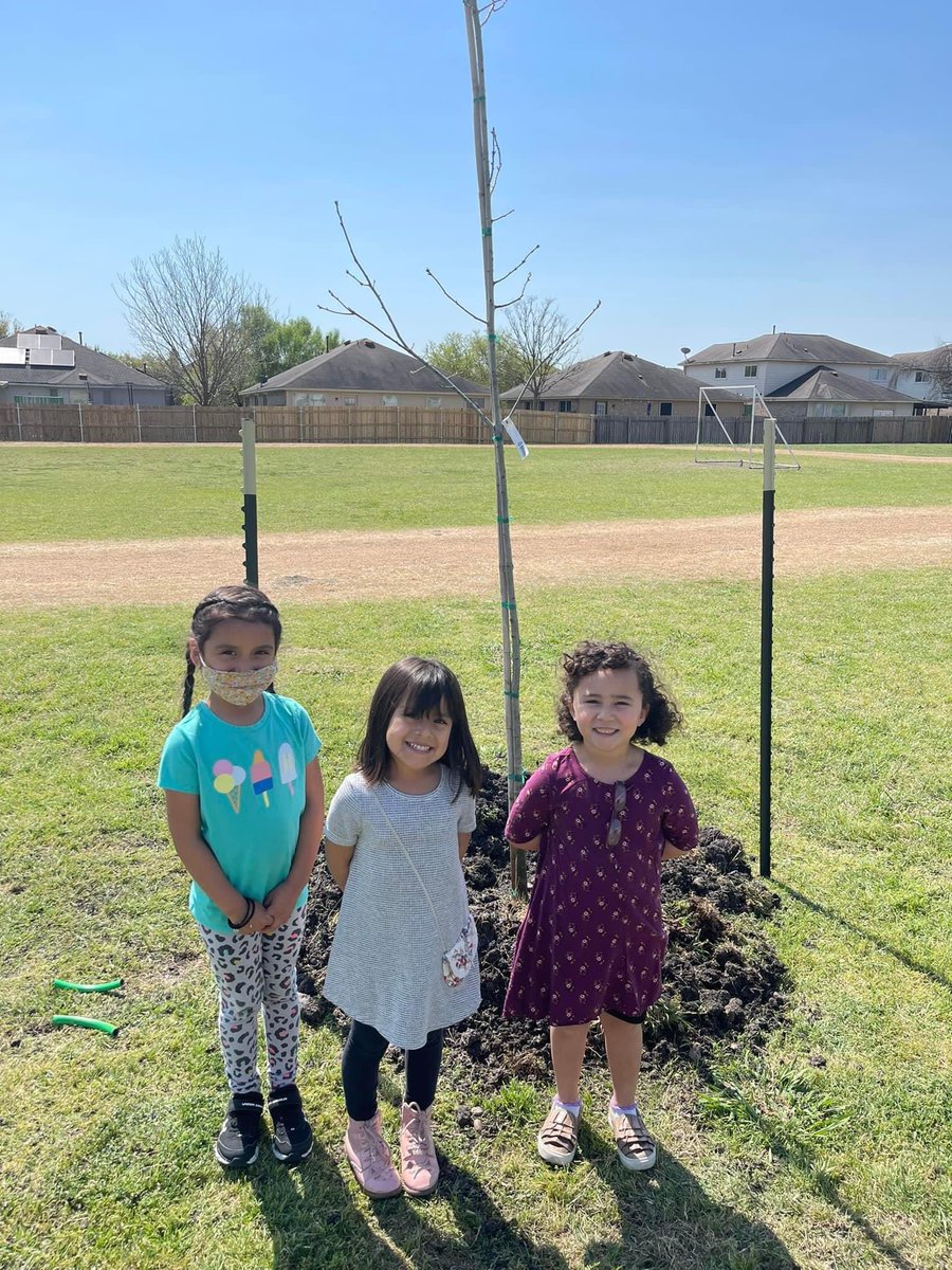 lynnsedillo1's tweet photo. We have Shade🌳!! Thank you SHES PTA, community members, All Works Landscaping, Site One Irrigation, and Hays CISD Maintenance &amp; Operations!! SHES staff and students were very excited to see the trees arrive and be planted. #itsgrowtime #SomosSol #SHESshinesBright https://t.co/ytLgUuIdCH
