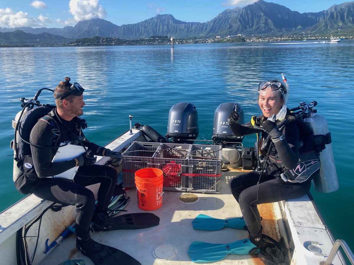 Coral Resilience Lab tweet media
