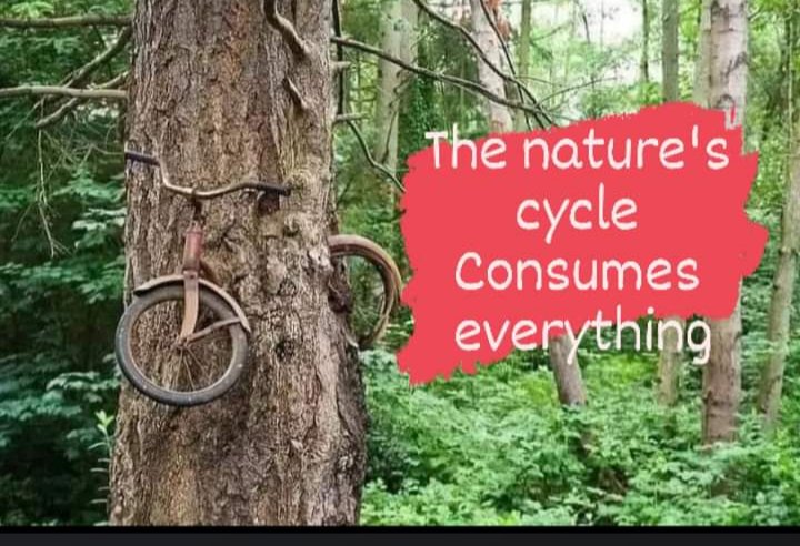 PV SHRINIVAS ACHARYA (@shrinivas_pv) on Twitter photo 