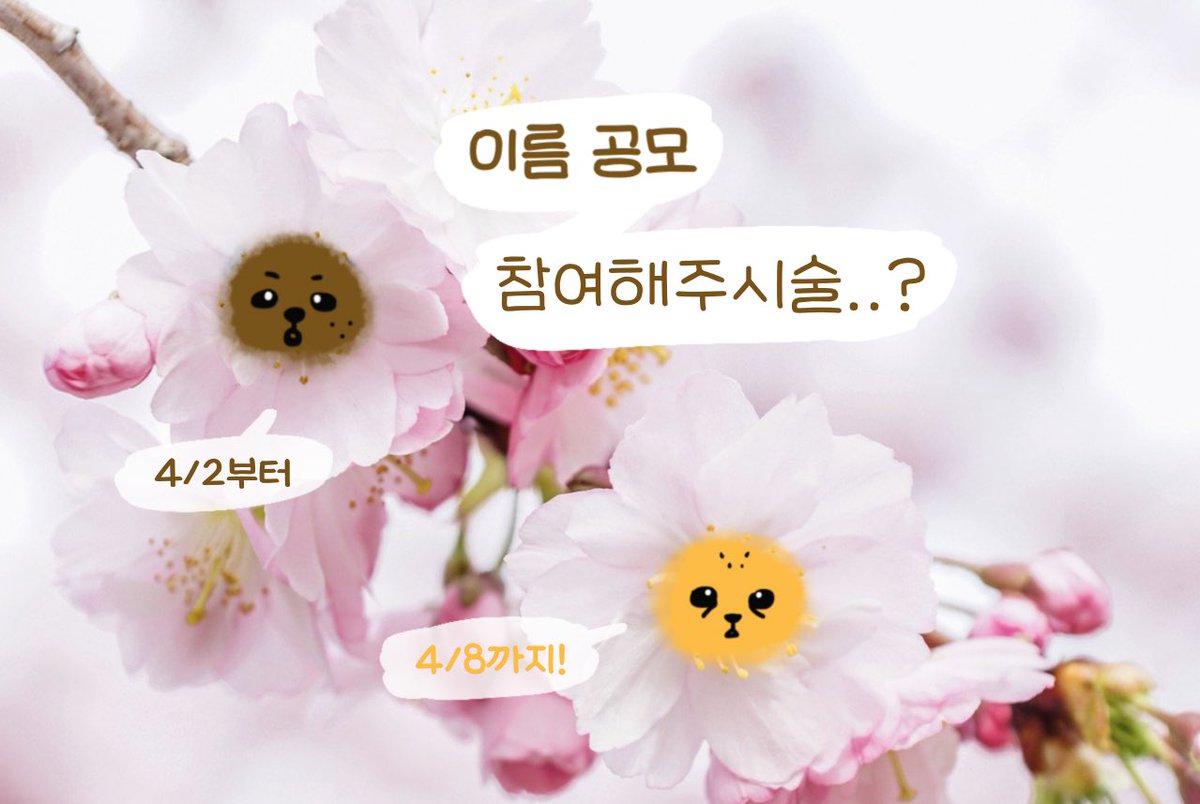 토마동&수바크 tweet media