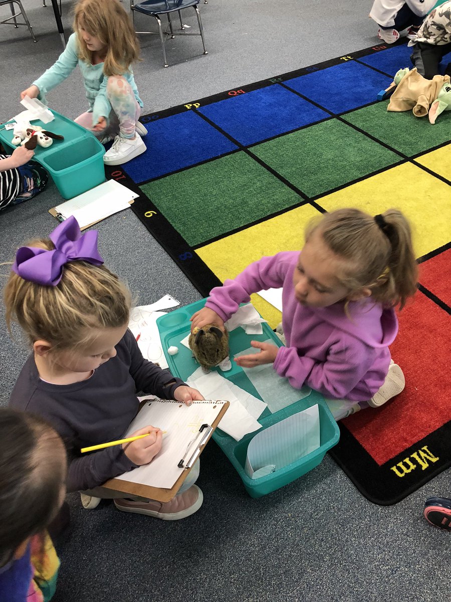 PrassPaxson's tweet photo. Mrs. Weir’s Kindergarten class use creative thinking and problem solving skills when acting as veterinarians for the day! #CriticalThinkers #EngagedCollaborators 😊 https://t.co/I94bntm7Zr