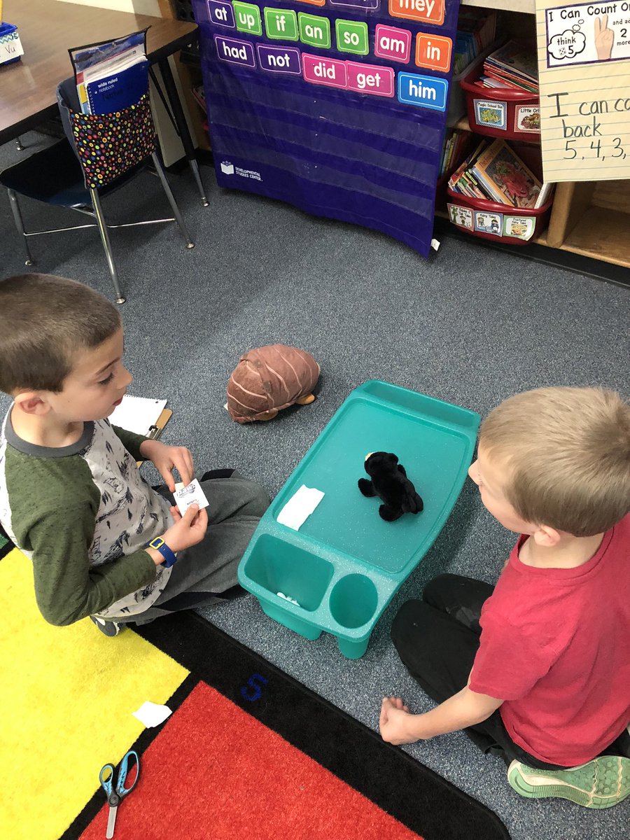 PrassPaxson's tweet photo. Mrs. Weir’s Kindergarten class use creative thinking and problem solving skills when acting as veterinarians for the day! #CriticalThinkers #EngagedCollaborators 😊 https://t.co/I94bntm7Zr