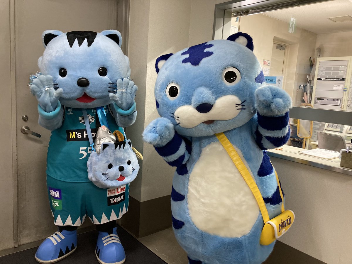 HannarynC_LIVE's tweet photo. 本日はHANNARYN CHEER SCHOOL LIVE!!本番です‼️

日頃の成果を発表するため、みんなリハーサルに真剣に取り組んでいます🥹

チンタイガーとはんニャリンも準備万端😁

■第1公演
10:55受付開始
11:10開場
11:30開演

#はんなりん
#はんなりんチアスクールライブ
#京都ハンナリーズ https://t.co/K6DijVablF