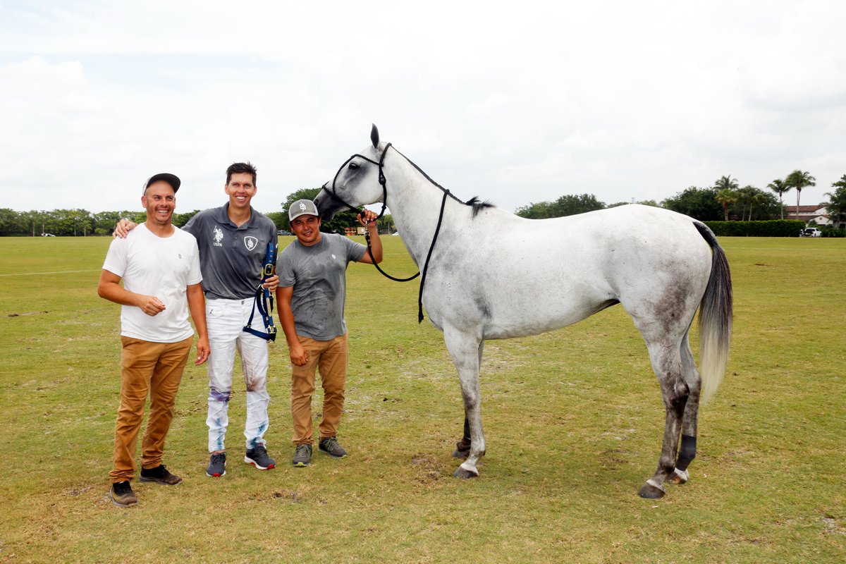 PoloAssociation's tweet photo. Today's #USOpenPolo results: 
SD Farms defeated CK Shack 17-9 
BPP: Oriental Coty (Played by Pedrinho Zacarias, owned by Pelon Stirling) 

Park Place defeated Casablanca 18-5
BPP: Irenita Caña (Played by Juan Britos) 

📸: @dlominska #HighGoal #PoloPlayer #PoloPony https://t.co/TMi3wohnI7