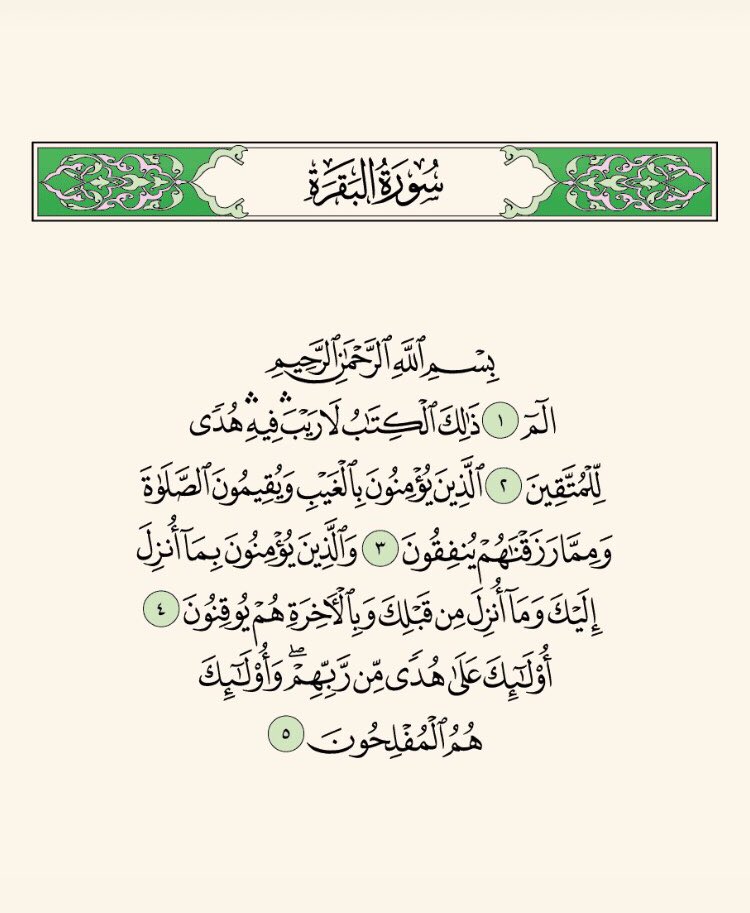 عبدالمحسن tweet media