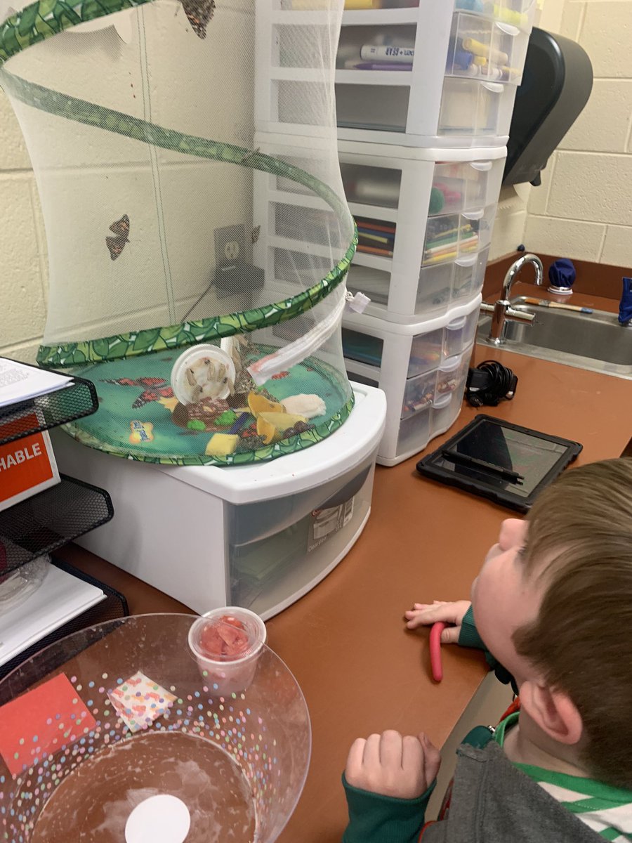 AmyLawCCPS's tweet photo. Book fair, butterflies, and kite flying was the perfect way to end the week before spring break! #oneCCPS @obgSTARS https://t.co/GzCIh9PxtU