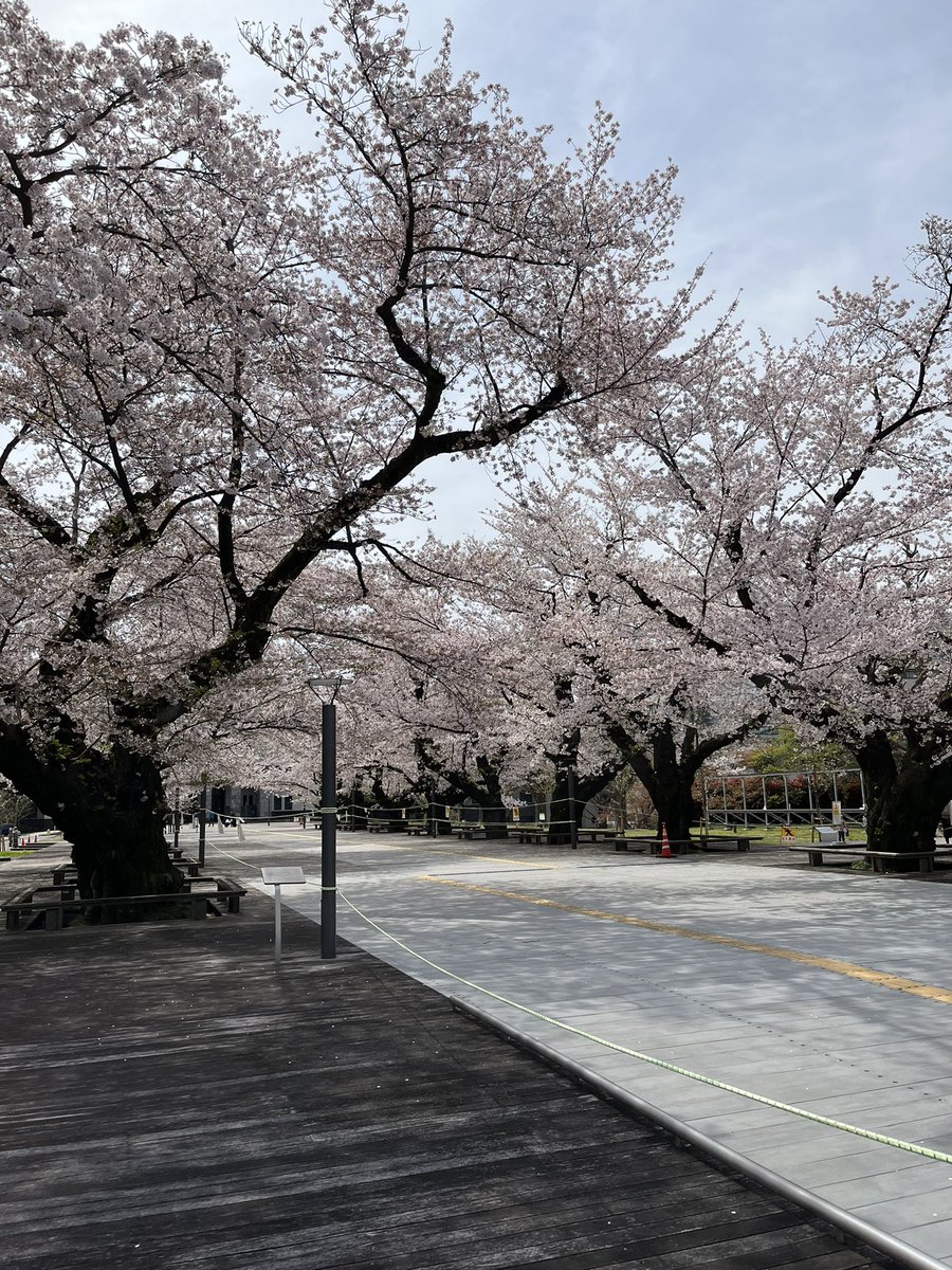 暇だから来ちゃった