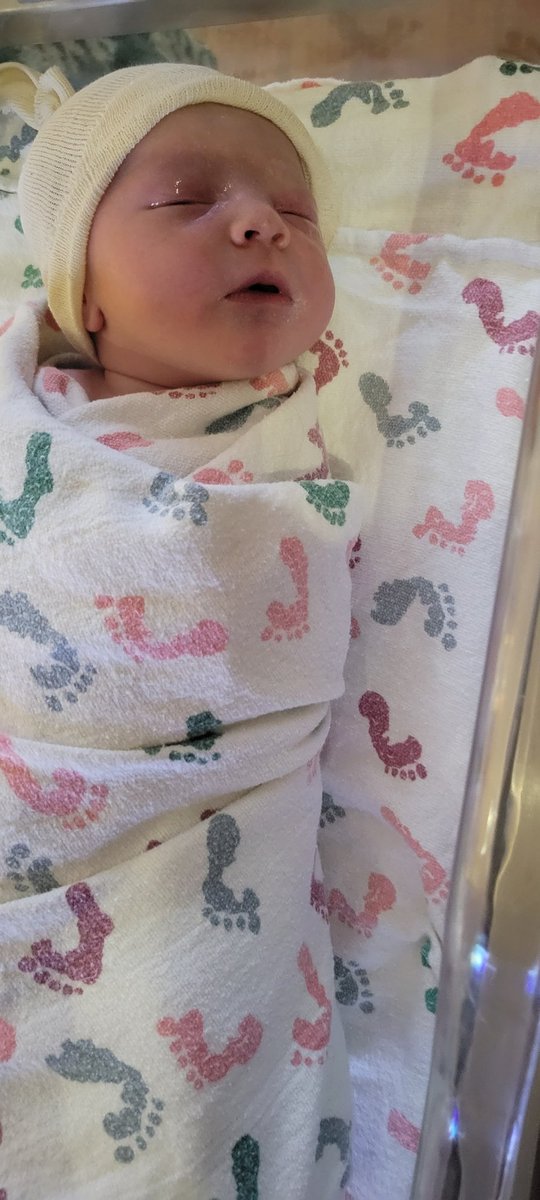 SonyaBlade0325's tweet photo. I'd love you all to meet my little man Henry ❤️❤️ I'll be back to streaming here in a couple of months gotta get being a mom down 🤣 https://t.co/0XyTirjsn7