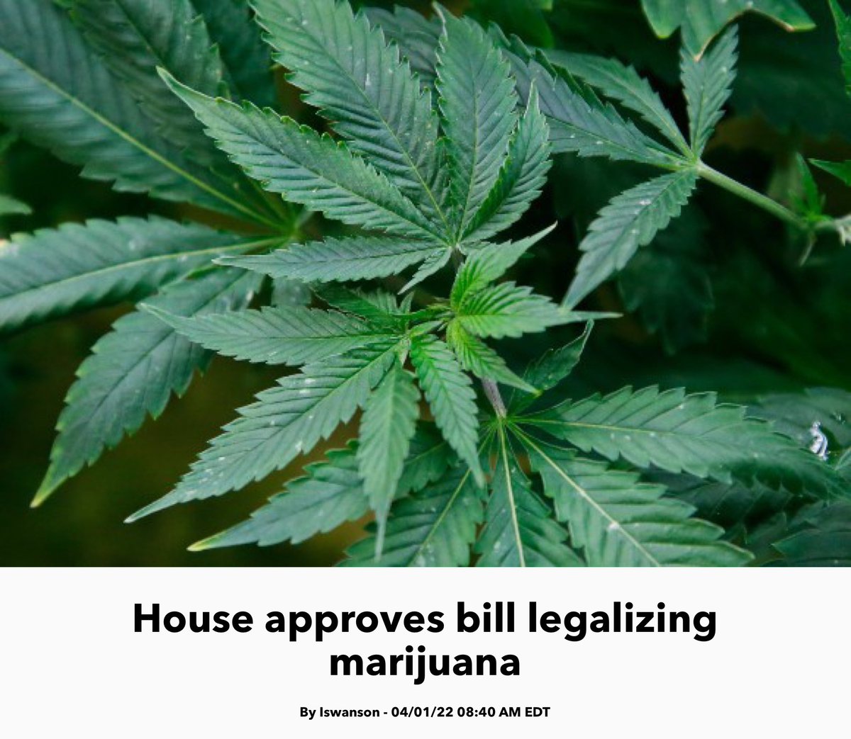 Legalize it man. 👇🏼