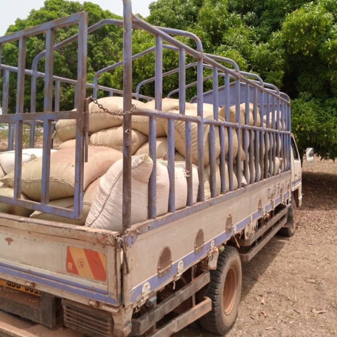LoveMercyUganda's tweet photo. 💚 It’s an exciting time in Cents for Seeds 

The team in Uganda are working hard to fill trucks like this full of simsim, soya, beans and hoes, as they are headed for distribution to women in Lira and Erute South! 🙌

#centsforseeds 
#foodsecurity 
#empoweringwomen https://t.co/AOW7t3HKOA