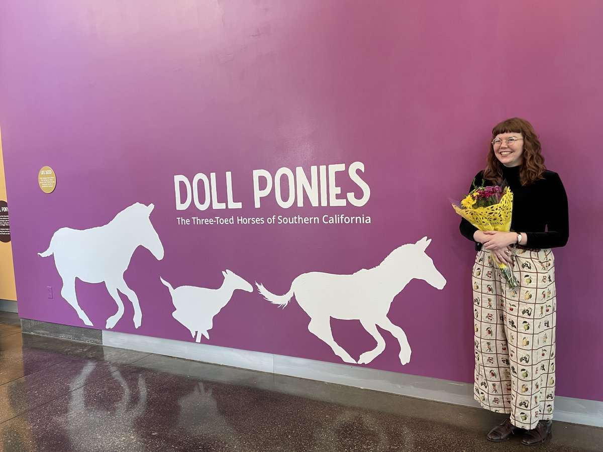 AltonDooley's tweet photo. Opening reception @westerncenter for new #BroaderImpacts exhibit, "Doll Ponies: The Three-toed Horses of Southern California". Congrats to researcher @brittandbone, coauthors @captainfossil, @CharlotteHohman, &amp; Andrew McDonald, designer @darlaradford, &amp; artist @CorbinRainbolt! https://t.co/nS92F0biFN