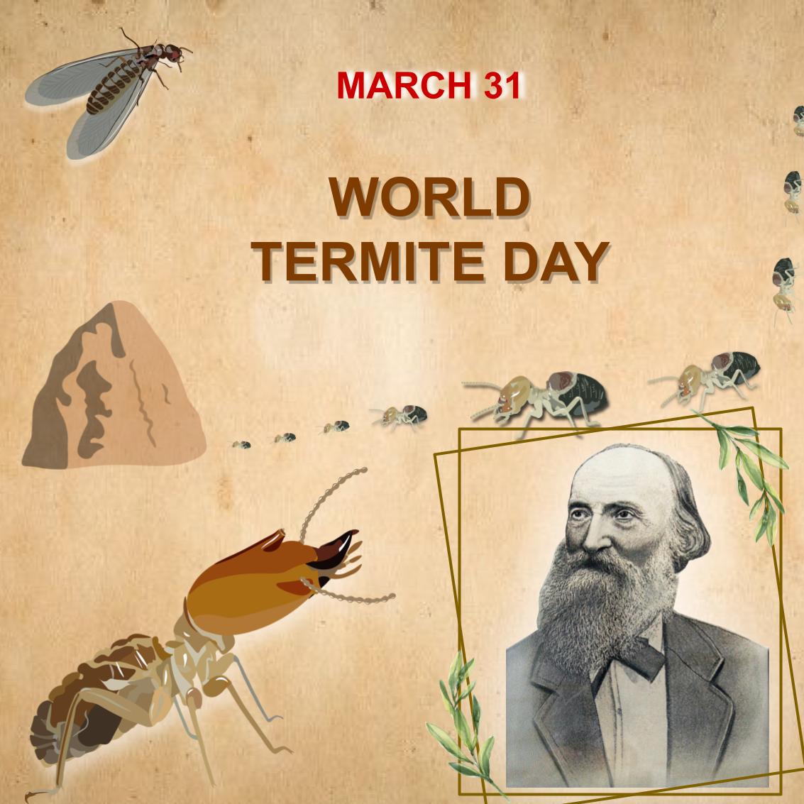 TemCupimlaemCS's tweet photo. March 31st was world termite day and we made a super cool post on our Instagram, check it out.
https://t.co/zYONoO5cwN https://t.co/5TAlqCP3ds