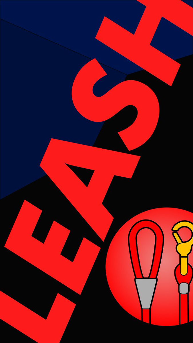 phong08991702's tweet photo. @shibainuart $LEASH the new class of asset https://t.co/FVvNsmlVGA