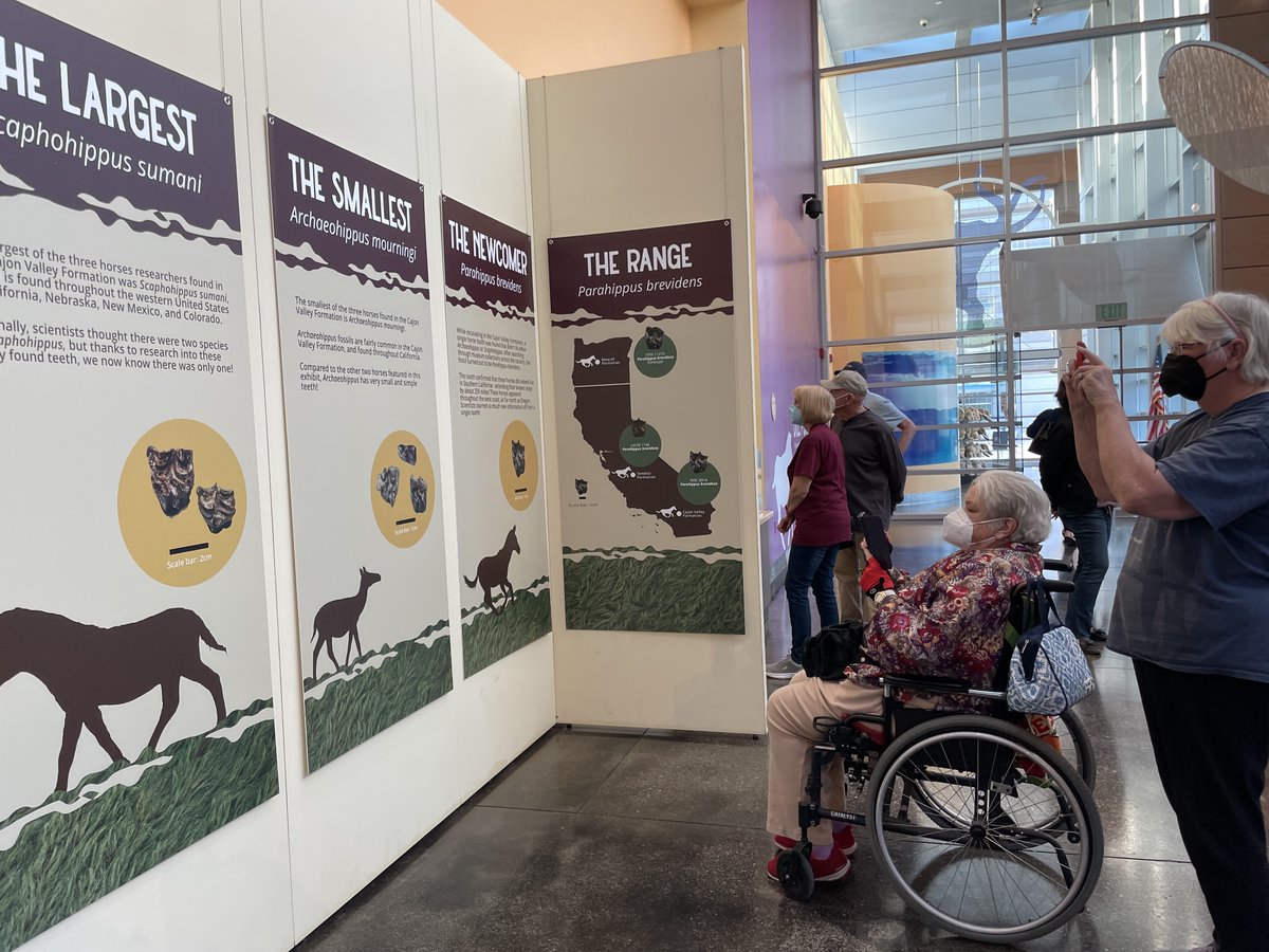 AltonDooley's tweet photo. Opening reception @westerncenter for new #BroaderImpacts exhibit, "Doll Ponies: The Three-toed Horses of Southern California". Congrats to researcher @brittandbone, coauthors @captainfossil, @CharlotteHohman, &amp; Andrew McDonald, designer @darlaradford, &amp; artist @CorbinRainbolt! https://t.co/nS92F0biFN