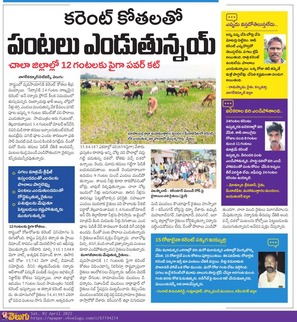 V6News's tweet photo. కరెంట్ కోతలతో పంటలు ఎండుతున్నయ్ -V6 Velugu

Read Here: https://t.co/h689LfcVeD

#CurrentCharges #powercut #Nagarkurnool #V6 #V6News #V6Velugu https://t.co/rd9C8auAvR