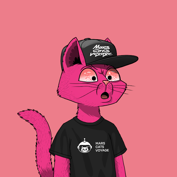 MallCartKing's tweet photo. Ok I may be a little biased but show me some nfts that can hang with these Mars Cats Voyage Nfts!!! 

#AliendropSOON
#MCV 
#thebest https://t.co/1kOMnfBu30