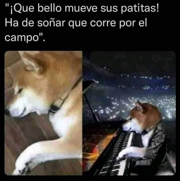 Sabueson tweet media