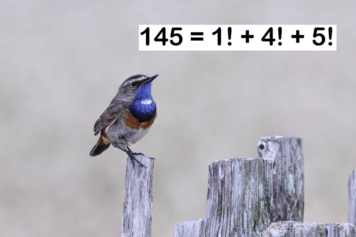 Mathematics.

Shiver in ecstasy. In number theory, a Factorion is a natural number that equals the sum of the factorials of its digits.