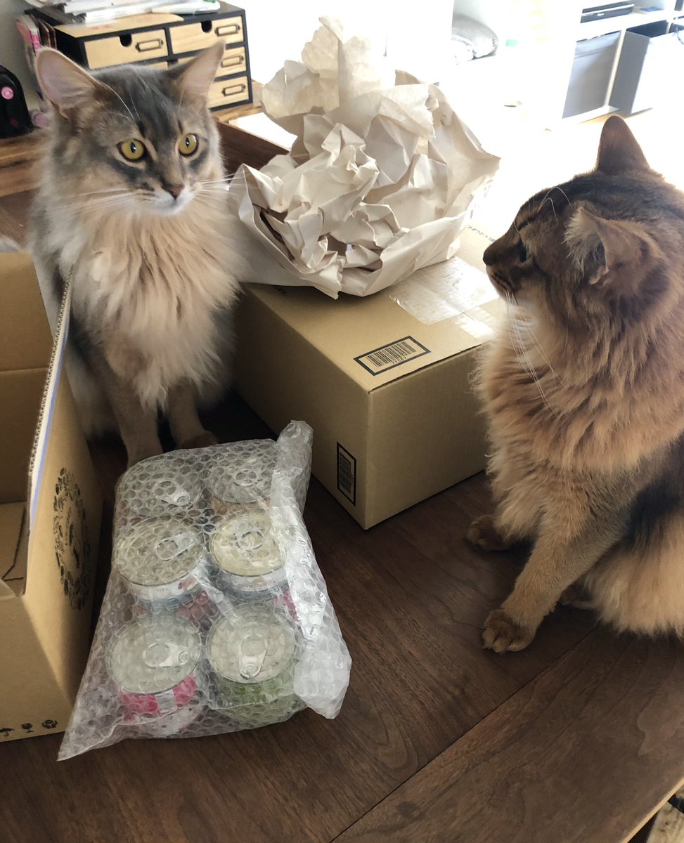d_manin's tweet photo. ニャンズお待ちかねの猫缶✨
お昼前に届いて助かったー

#ソマリ #猫 #猫のいる暮らし #猫好きさんと繋がりたい https://t.co/bb36IX7hbu