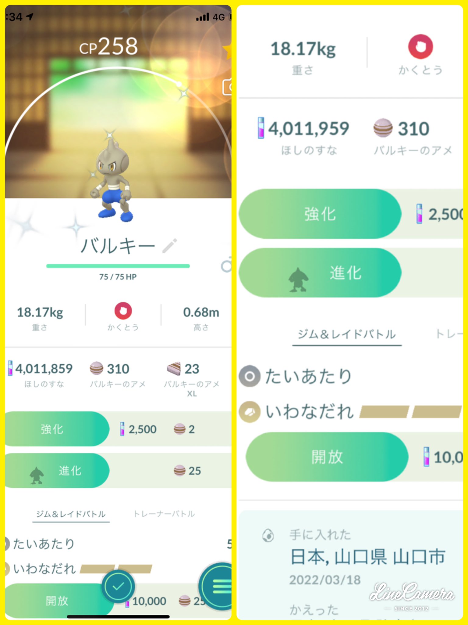カポエラー色違い Twitter Search Twitter