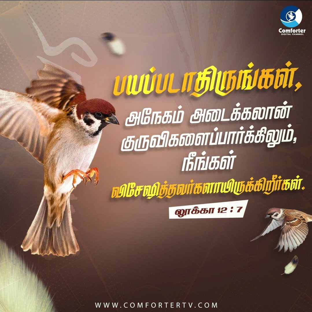KittyTwitz's tweet photo. Praise Jesus ✝️ Blessed Saturday😇
#WorldRevival
#RevivalofIsrael @Israel @IsraeliPM
#RevivalofIndia @narendramodi @AmitShahOffice
#RevivalofChennai @arivalayam
#RevivalofEngland @BorisJohnson
#RevivalofItaly @Italy
#RevivalofSriLanka @SrilankaPMO https://t.co/KR1WxLlQLx