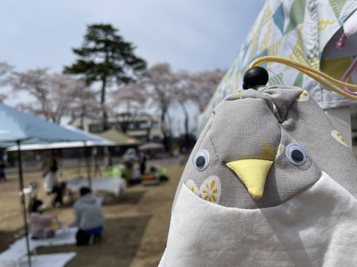 DropDrops2020's tweet photo. 本日満開の桜祭り🌸立川の諏訪の森公園にて開催です♪美味しいキッチンカーも来てますので、ぜひ遊びに来て下さいね😊
#DropDrops2020 
#桜まつり
#立川
#ハンドメイド
#移動雑貨店 https://t.co/IZBufgnR35