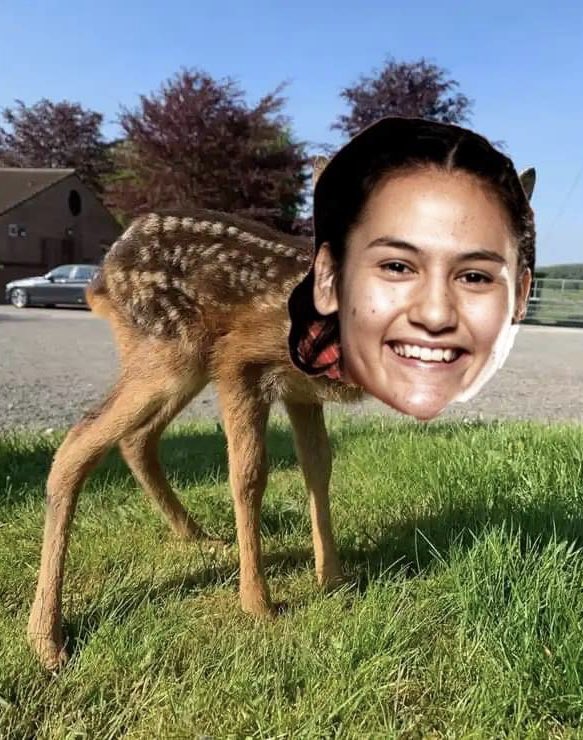 JoeyNicita's tweet image. Can’t watch the @NSWSwifts today, but I want to wish our new debutant the best of luck. Sam Wallace is very deer to me, and I’m sure we’ll all Fawns over Soph soon too! #GoNSWSwifts #SWIvVIX