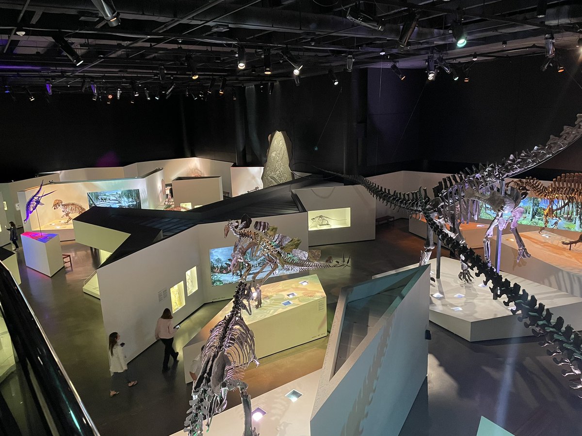 Mr.Burke tweet media