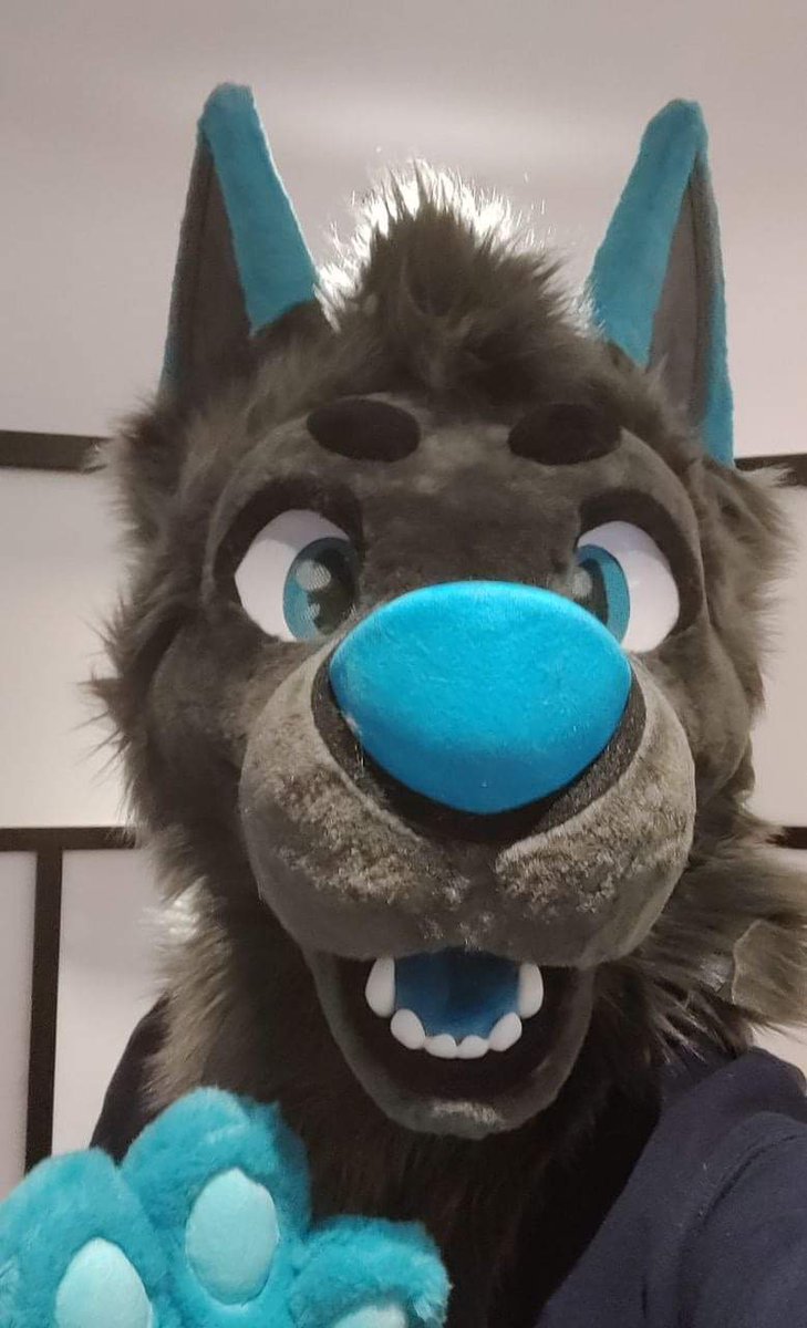 BandoBarks's tweet photo. MY BOI IS FINALLY HOME!

So excited to be able to do my first #FursuitFriday! 

Thank you again so much to the entire Fur The Win Studios team for all the hard work and details that went into bringing him to life!!

(1/2) https://t.co/BGFAWjy2S6
