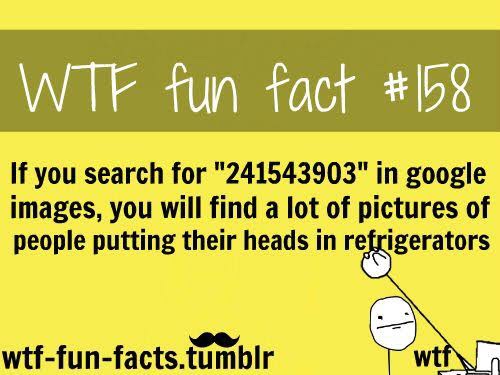 FunFacts0753's tweet photo. FUN FACT #14 https://t.co/P7ma7ODIMy
