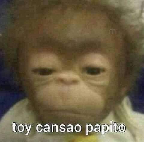 mantenlocute's tweet photo. yo: gpi gpi gpi gpi gpi

*alguien me invita a algo * 

yo: https://t.co/NutYoxFlT3