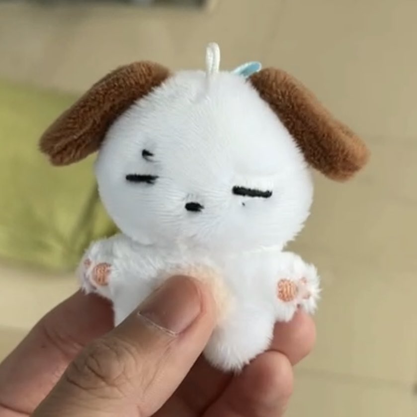 한입식스 1차 샘플 사진을 업체에서 전달 받았습니다🥄🤍

해당 글은 업체에서 전달 받은 사진으로만 업로드 하였고 샘플에 대한 자세한 사진은 총대에게 인형이 도착한다면 얼굴 경락 후 촬영하여 수정 사항 조사 받을 예정이니 조금만 기다려주세요🤍