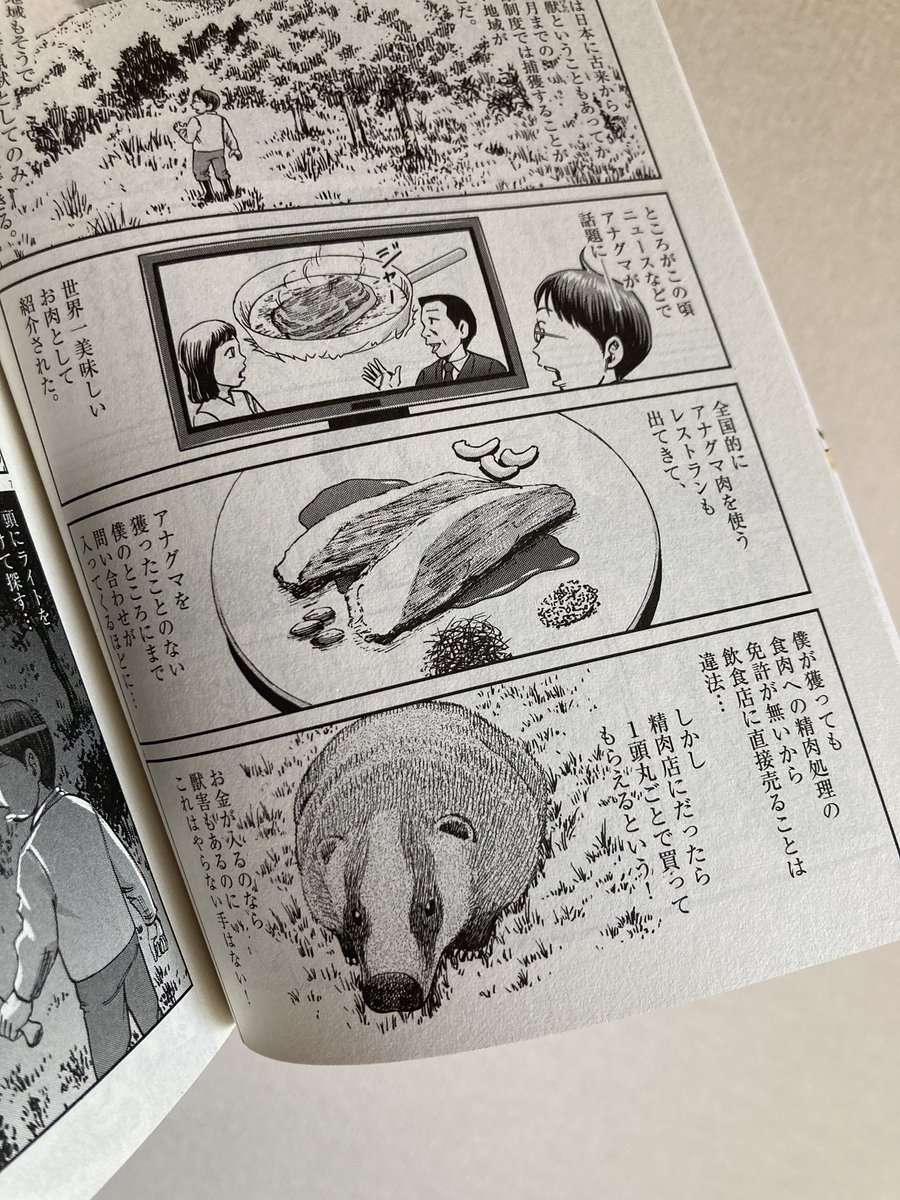 #ボクらはみんな生きてゆく! 読了、面白かったー‼︎‼︎ 郷里に戻り漫画家を続けながら猪や鹿を獲ったり養蜂でハチミツを作ったり…3巻ではアナグマやスッポンまで狩猟することになるワイルドライフ!読んでるとお腹空いてきた^^

https://t.co/XxryWWDwcH 