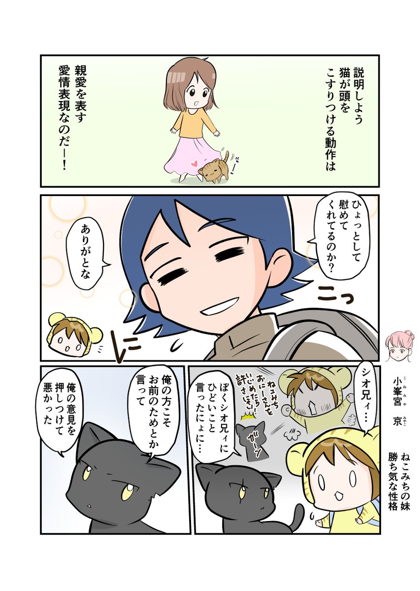 #スパダリにゃんこ 
#くぅの日常 第122話 
おにぎりに愛をこめて

ハイスペックなスーパーダーリン、スパダリ猫を目指すくぅと、飼い主しずくの日常マンガ。

落ち込むねこみち。背後に迫るシオ。くぅが目撃したものは…?
愛をこめた(おにぎりだけに)
おにぎりの行方は…? 