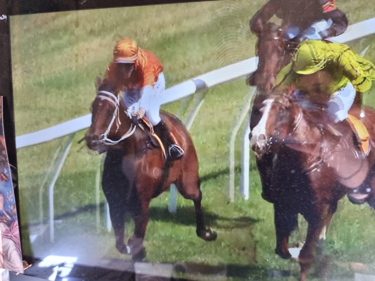 mrjcarternz's tweet photo. There's a race we won't forget.. driving home over Newmarket viaduct too late to watch at home.. so on my phone live streaming telling @vcarternz progress & the win! ππͺπππ #tightlign
@marshracing great work, all of you & #crystallindsay @lovethehorsenz https://t.co/xFJDXeVa79
