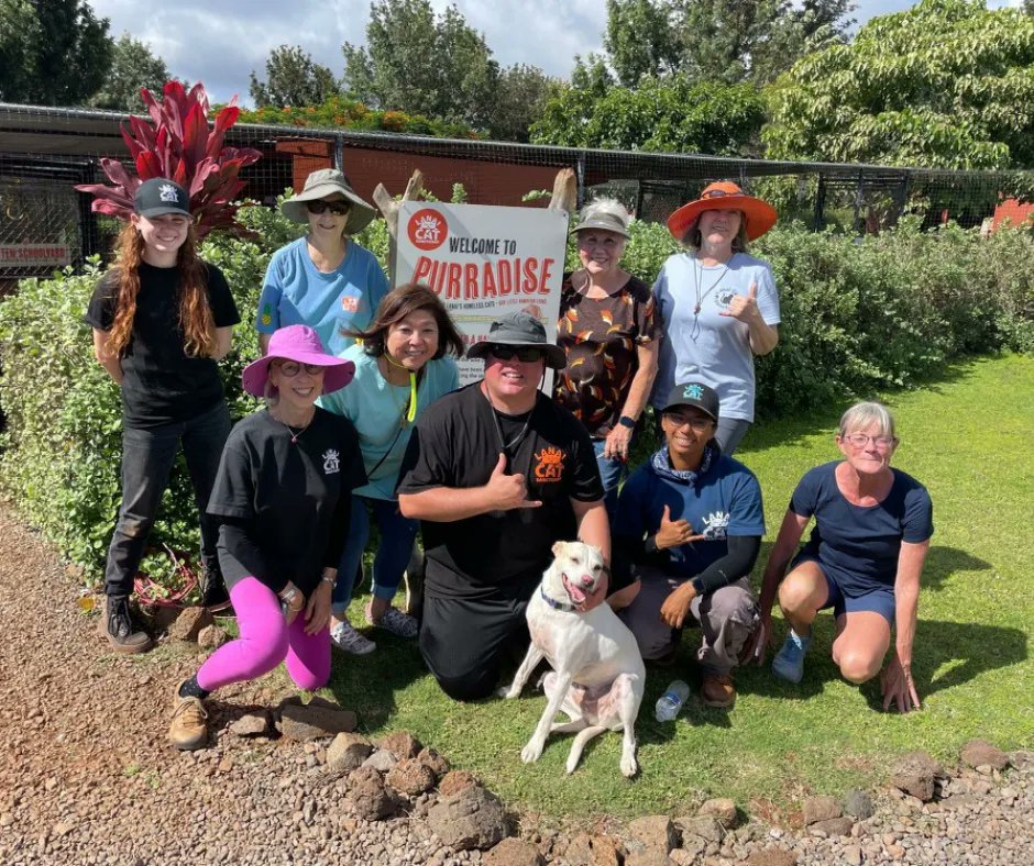 We want to recognize all of our amazing volunteers who have continued to work so hard and contribute so much of their time and talents to our organization. We wouldn’t be where we are today without them. ❤️ #weappreciateyou #weloveourvolunteers #visitlanaicatsanctuary