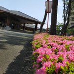 鹿児島 砂むし温泉 指宿白水館(Hakusuikan)のツイート画像