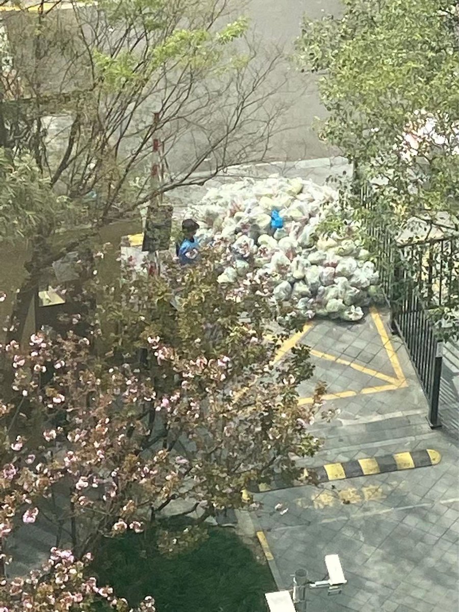 𝓜𝓪𝓽𝓽𝓱𝓮𝔀 𝓣𝓱𝓻𝓪𝔁𝓽𝓸𝓷 tweet media