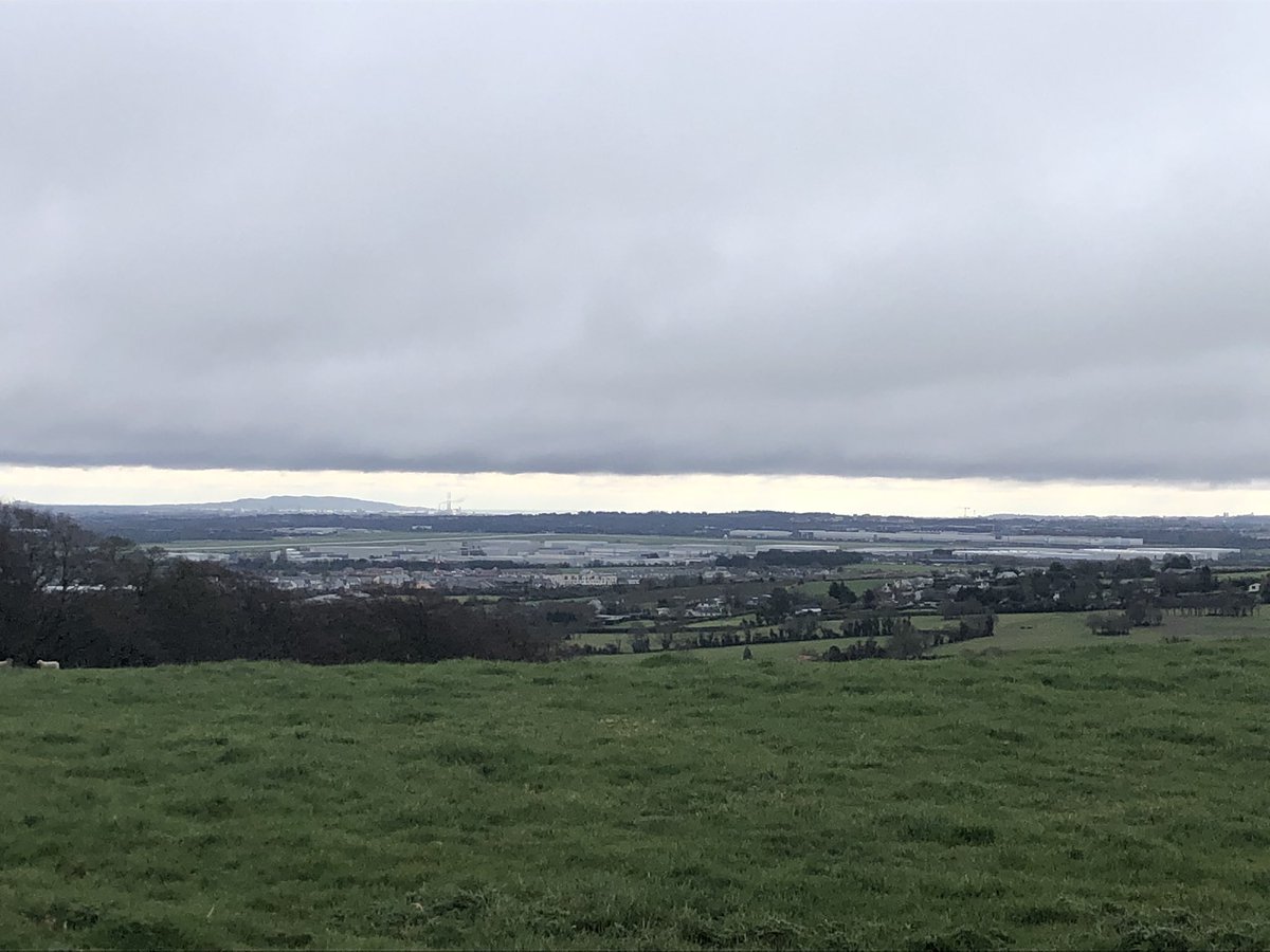 UCD Lyons Farm tweet media