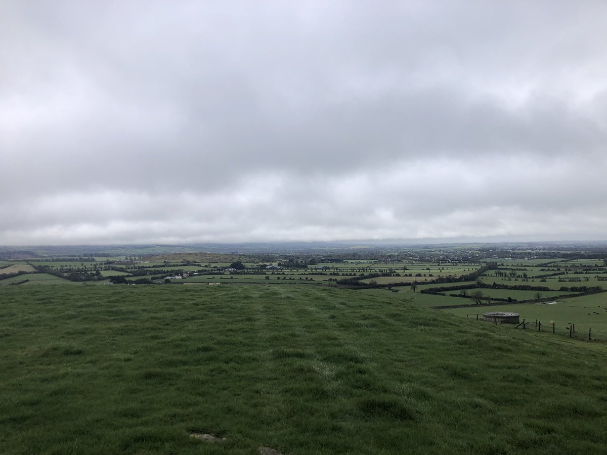 UCD Lyons Farm tweet media