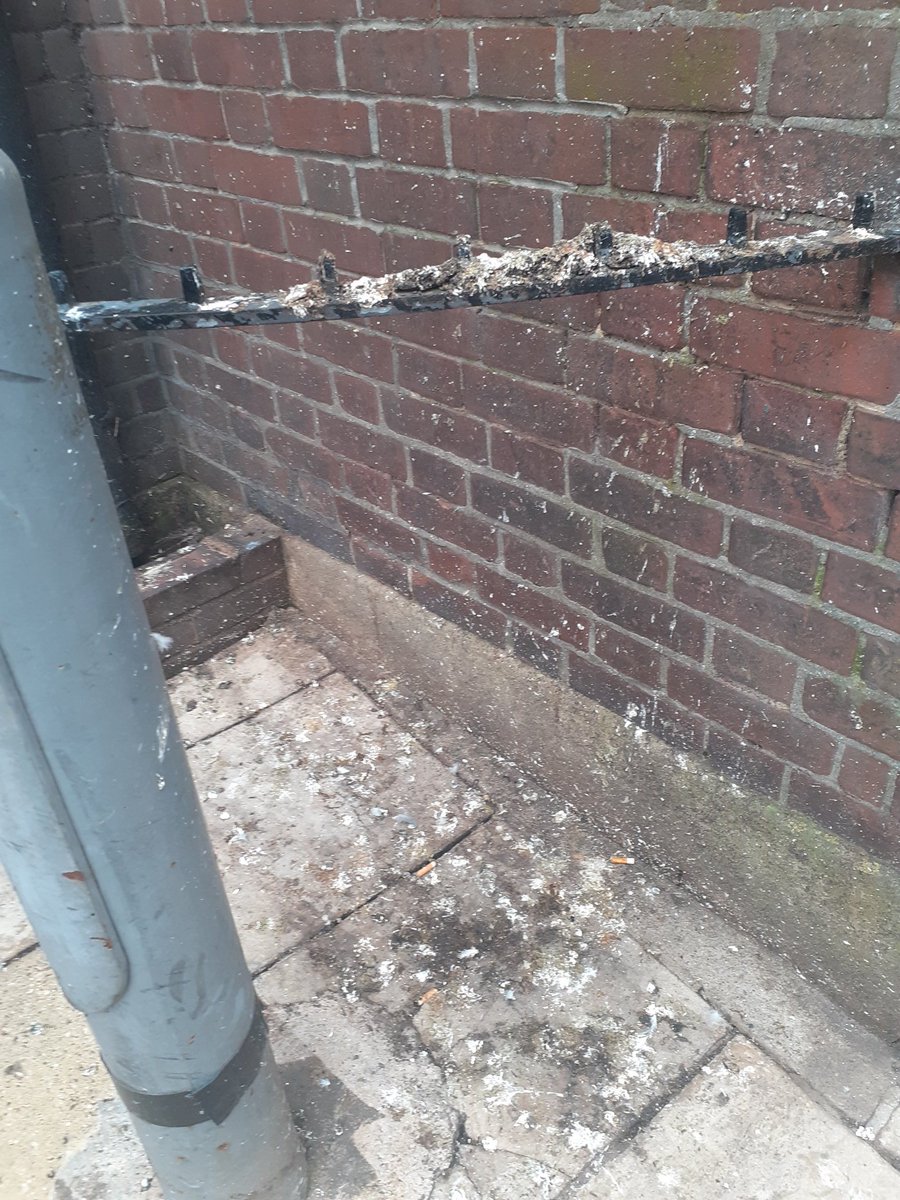 ColCivicSociety's tweet photo. Such devices may have been effective in deterring "peeing" by humans, but the evidence suggests they're less effective in deterring pigeons from "pooing". You can find this "uncropped" one in #SirIsaacsWalk near the junction with #Headgate.
The team @yourcolchester do clean it! https://t.co/1H6CAUIGSr