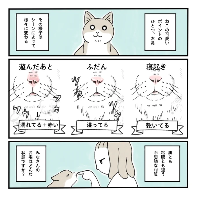 ねこのお鼻の様子…#みちこの日記   #コルクラボマンガ専科 #猫のいるくらし 