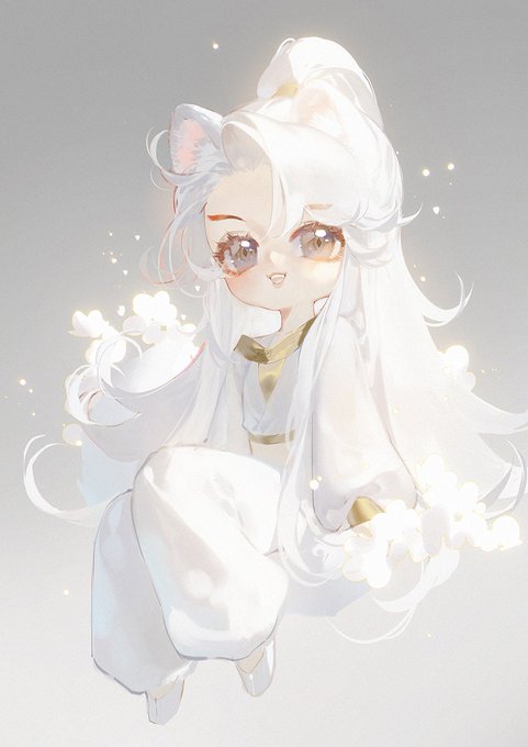 小白狐 