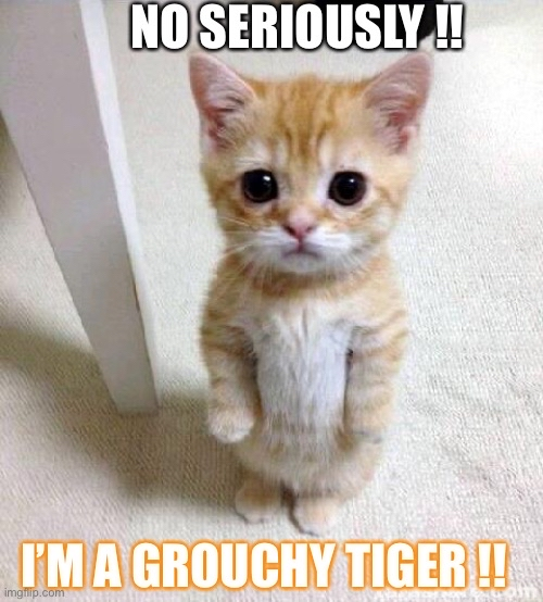 GrouchyTigers's tweet photo. @GrouchyTigers @GrouchyTigerCub 
Amazing #NFTCommunity and Mods👏 
Amazing #NFTProject 👏 
Amazing #NFTUtility 👏 
Amazing #CubBreeding Programe 👏 
Amazing Staking #GTT 👏 
Amazing #NFTART 🖼 👏 
Amazing #Giveaways👇 https://t.co/XBbctEm6JI