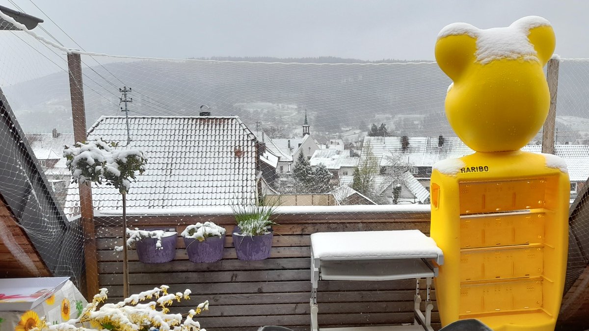 Katzen_Tiger's tweet photo. Schnee im April 2022 🌨️
Jetzt kann jeder seine Spuren hinterlassen 😺 https://t.co/eH3oerO8va