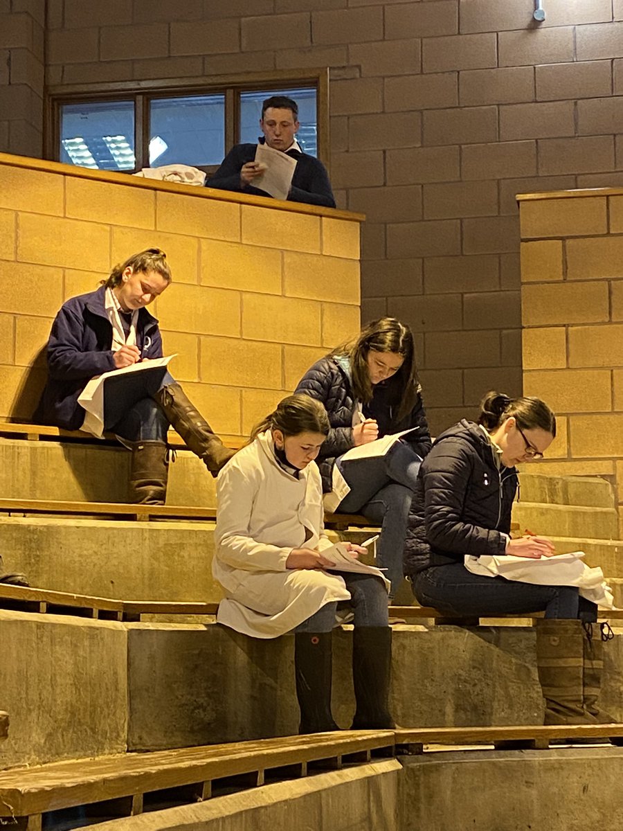 Cystadlu wedi dechrau ym Mart Caerfyrddin gyda Angharad yn dechrau gyda’r papur Milfeddygon yn adran Stocmon Iau! 

Competition have started at the Mart with Angharad starting her stockmon competition with a vet paper! 

#boisllanddarog