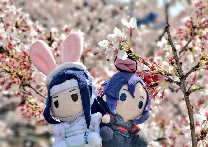🌸🌸🌸～ 