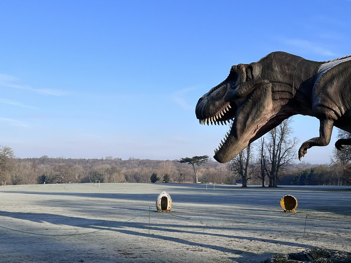 JaggerG's tweet photo. @parkrunUK I enjoyed a special Jurassic parkrun at @cassioparkrun today 🦖 Thanks team #loveparkrun https://t.co/ekIdzTFT3R