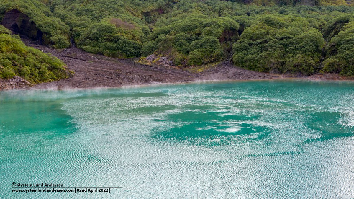 Øystein tweet media